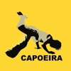 Capoeira Training