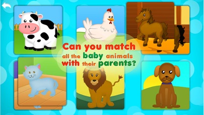 Animals Babies and Homes Screenshot 2