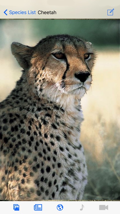 eGuide to Mammals of Southern Africa