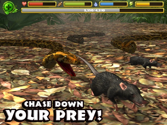 Игра Snake Simulator