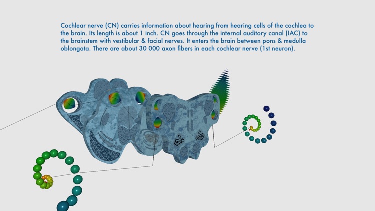 Auditory System Simulator screenshot-3