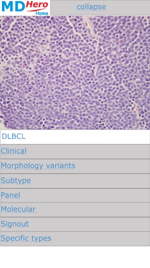 Hematopathology(圖2)-速報App