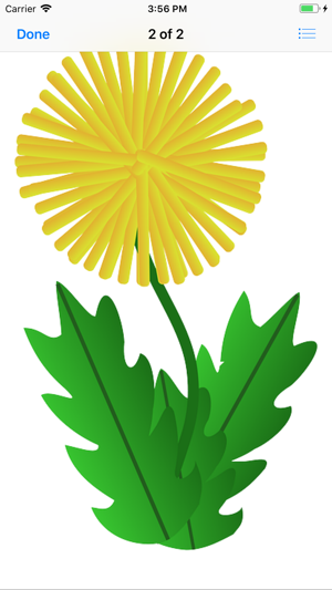 Dandelion Stickers(圖4)-速報App