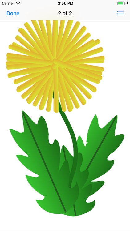 Dandelion Stickers screenshot-3