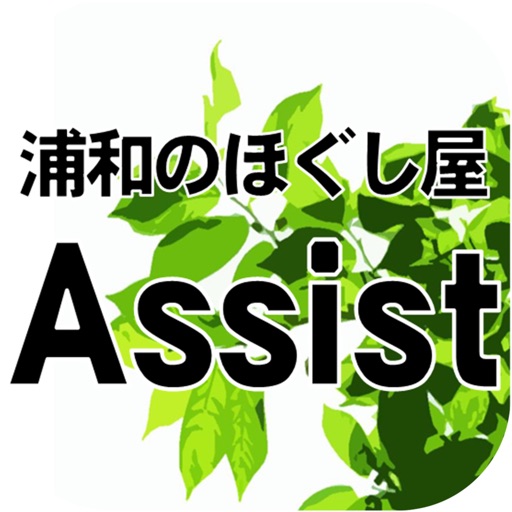 Assist icon