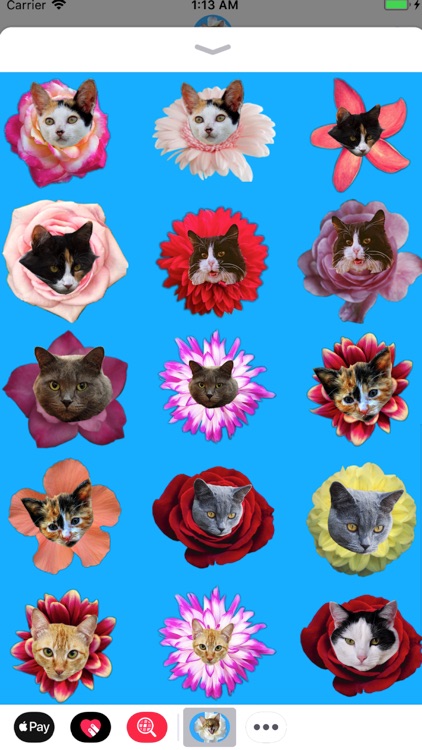 Kitty Bouquet screenshot-3
