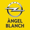 Àngel Blanch S.A.