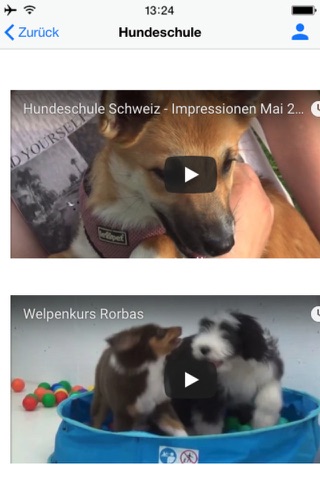 Hundeschule Schweiz screenshot 3