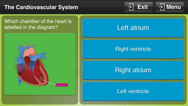 Physical Education GCSE(圖3)-速報App