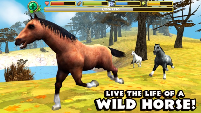 Wild Horse Simulator