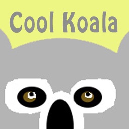 Cool Koala