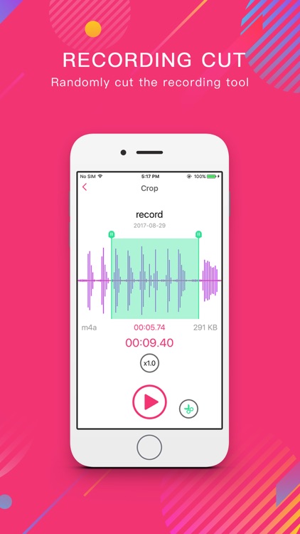 Voice Recorder - Audio Memos & Record Meetings