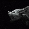 You are a space particle traveling through time