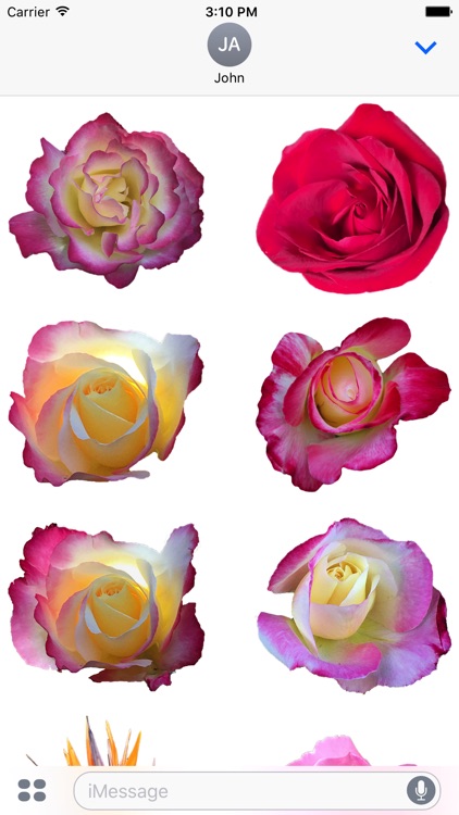 Hummingbird Flowers