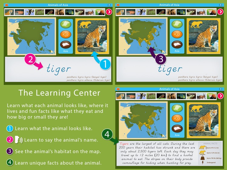 Animals of Asia - Montessori Geography For Kids