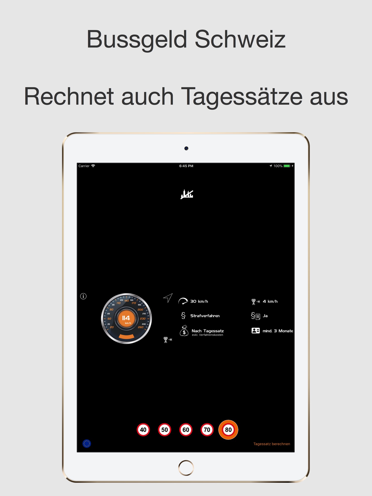 Bussgeld Schweiz screenshot 2