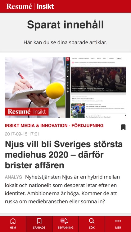 Resume Insikt