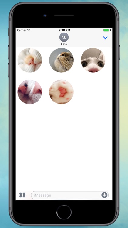 Cat Tenderness! Stickers