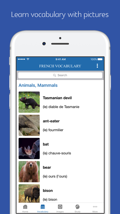 French topic vocabularyのおすすめ画像2