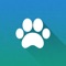 AllPaws is a beautiful and slick app that helps you browse through thousands of available dogs and cats so you can find your next best friend