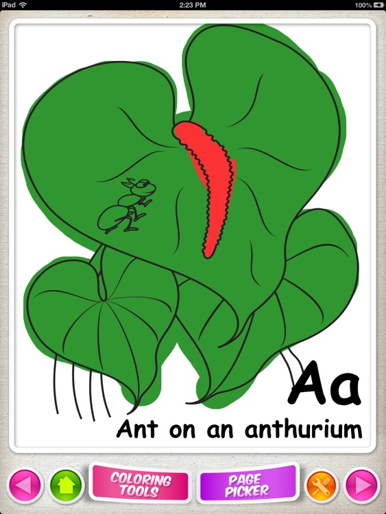 Pihana ABCs