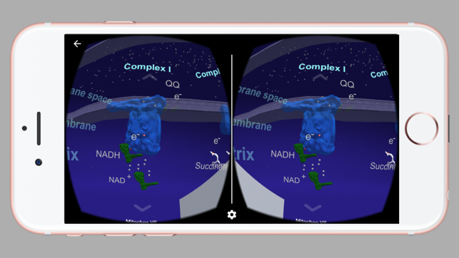 Mitochon VR(圖4)-速報App