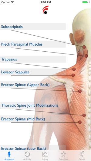 Foam Roller Techniques