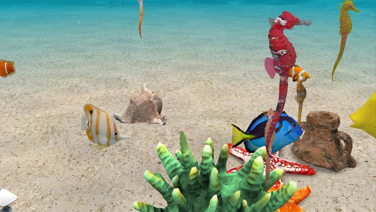 Seahorse 3D screenshot-4