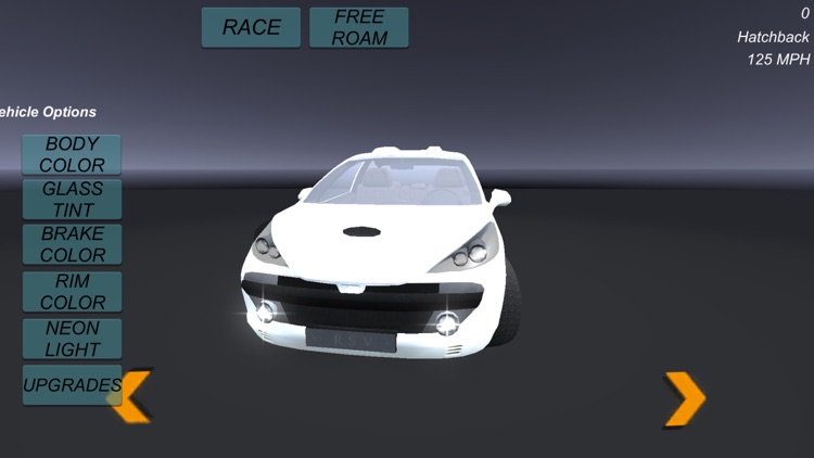 Can't Catch This Racing screenshot-5