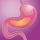 Top 30 Education Apps Like Gastroenterology Terms Quiz - Best Alternatives