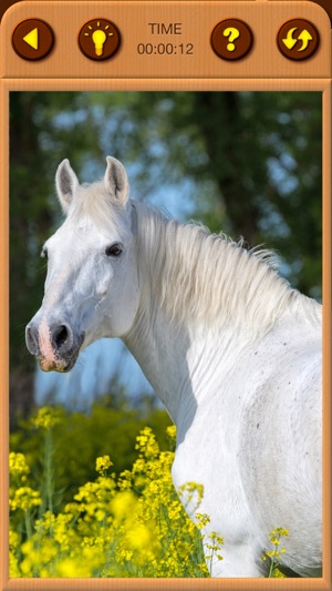 Horses Jigsaw Puzzles for Kids(圖4)-速報App