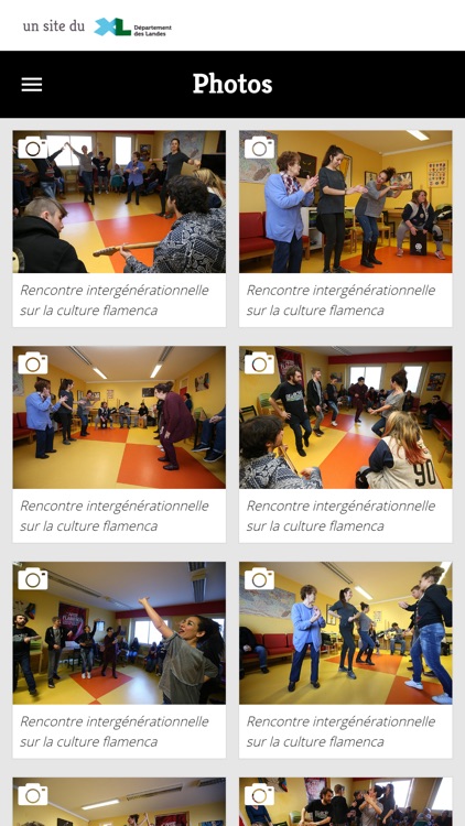 Arte Flamenco screenshot-4