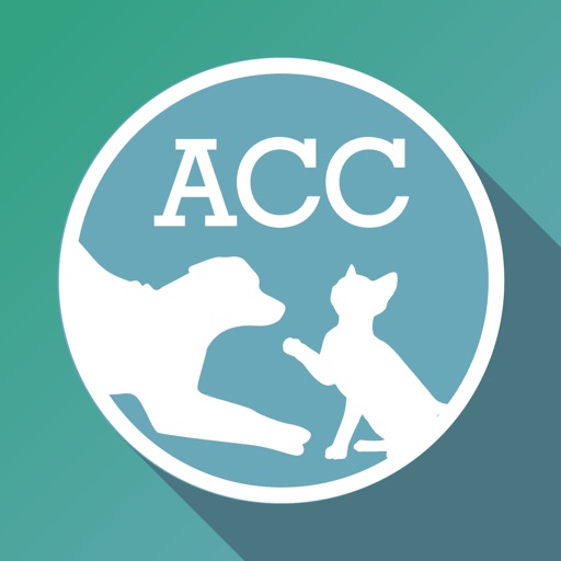 ACC of NYC