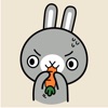 Grey Bunny Animated Stickers