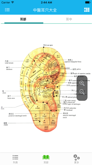中医耳穴大全(圖2)-速報App