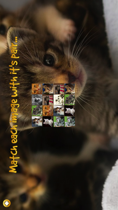 Kitten Facesのおすすめ画像3