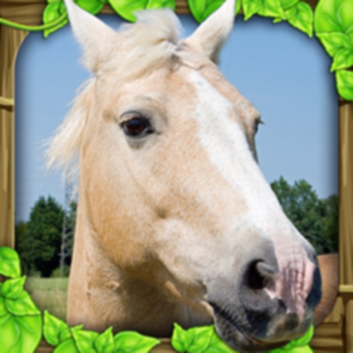 Wild Horse Simulator iOS App