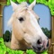 Icon Wild Horse Simulator
