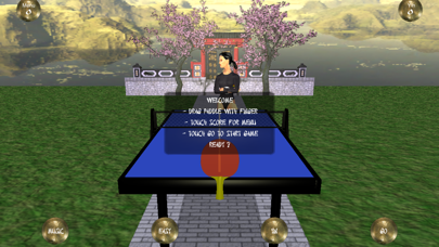 Zen Table Tennis Screenshot 1