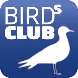 Birds Club