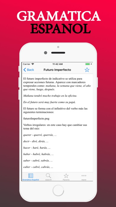 Gramatica Espanol screenshot 3