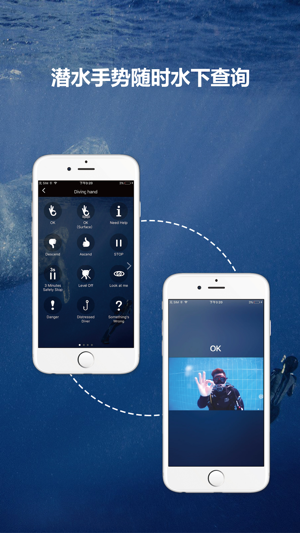 DiveHelper(圖4)-速報App