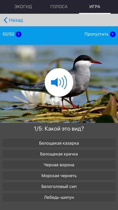 Экогид - Голоса птиц Screenshot 7