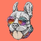 French Bulldog Emoji Stickers