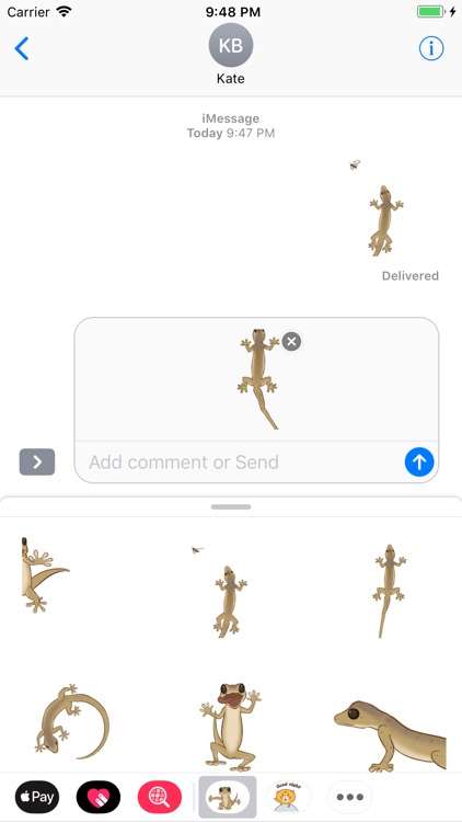 Gecko Animated Stickers