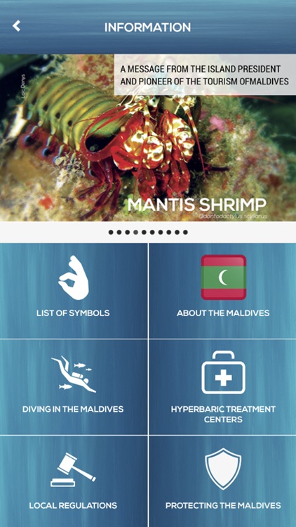 iDive World - Maldives Lite