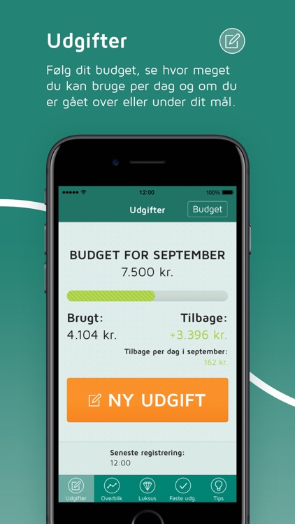 Lommebudget screenshot-0