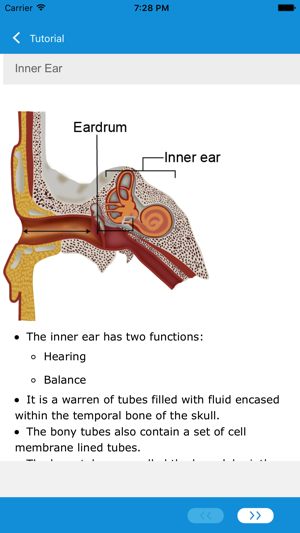 ENT and Orthopedics(圖3)-速報App