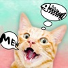Cat Translator - Mood Scanner