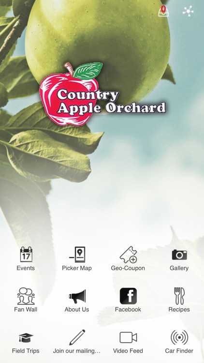 Country Apple Orchard